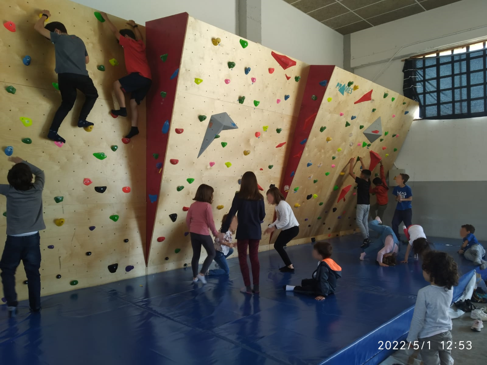 Imagen Normativa de uso del rocódromo